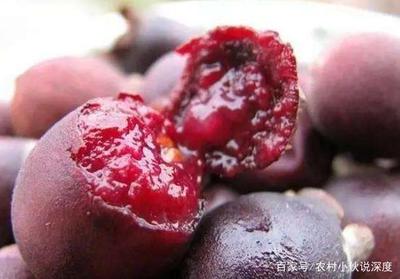 咳血便血是怎么回事