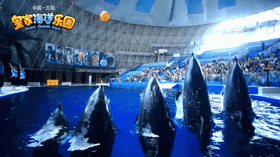 沈陽皇家海洋樂園