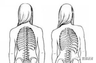 正常人的脊柱有多少个脊椎构成