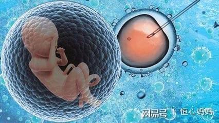 试管婴儿移植胚胎受精后多少天