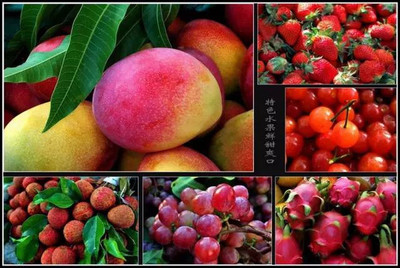 昆明水果多少钱一斤