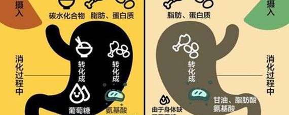 减肥为什么少吃盐
