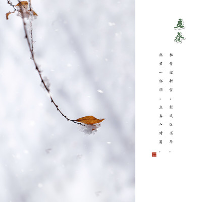 24节气怎么分四季