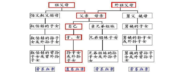 伯父是什么亲属关系