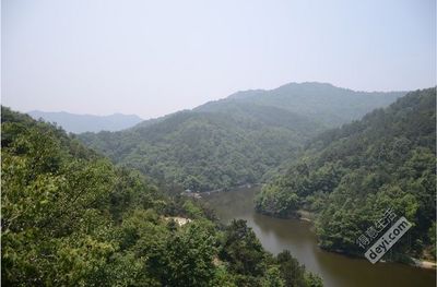 肌研白润美白保湿乳液