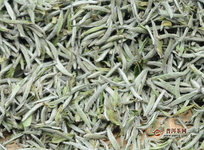 7年白茶多少钱一斤
