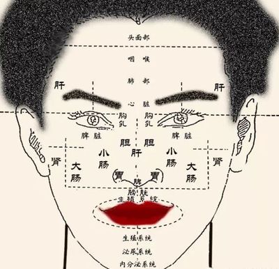 痘痘反射区