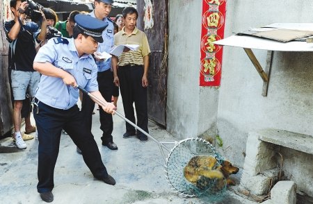 城管抓狗合法吗
