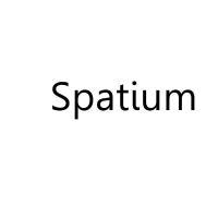 spatium拉丁语含义
