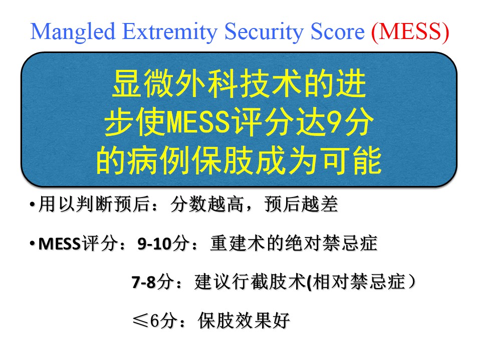 Extremity怎么读