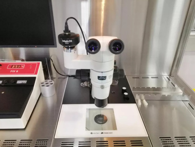 精子多久能到达子宫与卵子结合