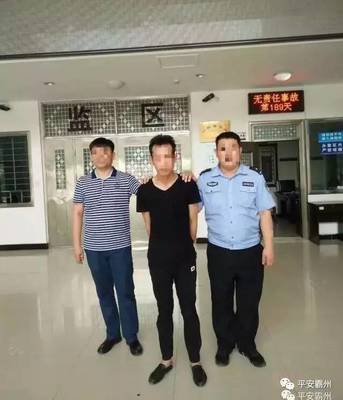 拘留和刑拘的区别