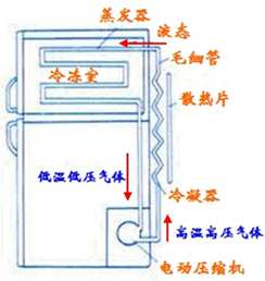 冰箱里有氟利昂吗