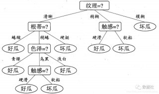 数据挖掘算法 决策树