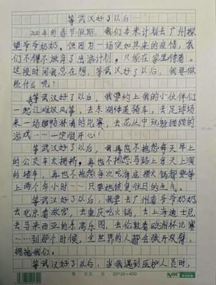 小学的计划作文500字作文怎么写