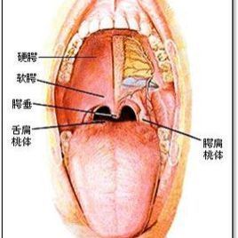 喉咙充血是怎么回事