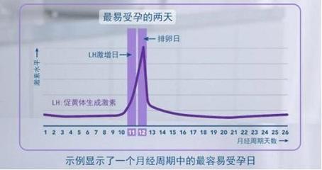 排卵期受孕几率