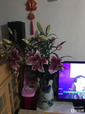 百合花孕妇可以闻吗