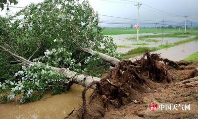 建昌大暴雨致村莊半淹 房頂上擠滿避難人群