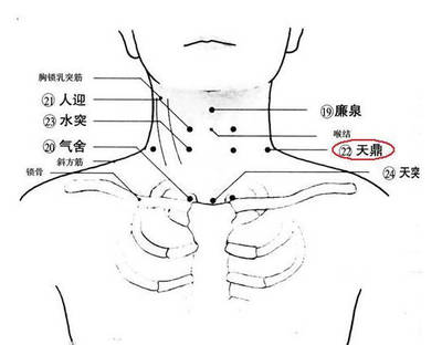 甲状腺结节的正常范围是多少