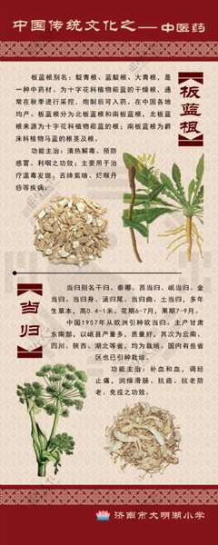 中药的功效与作用大全