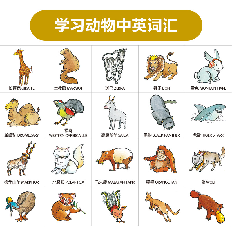 动物名称大全