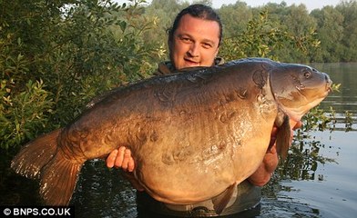 英国最大淡水鱼什么鱼