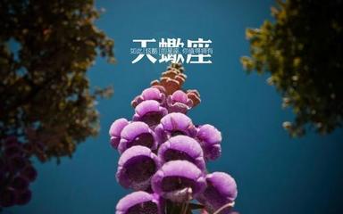 属猪天蝎男喜欢的女人