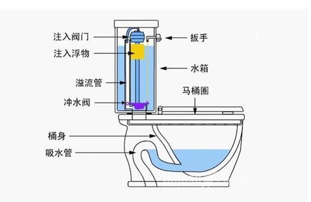 马桶虹吸原理