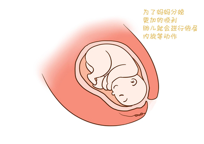胎儿几个月发育听力