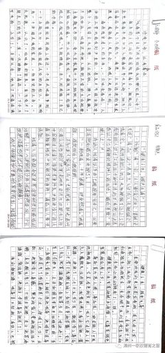 老师你怎么什么开头100字左右