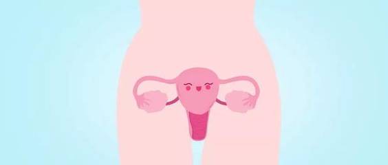 怀孕几个月会分泌乳汁