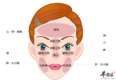 额头张痘痘的原因分析