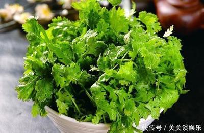坐月子可以吃香菜