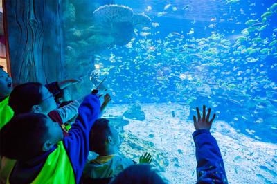 第三十二届台胞青年冬令营开营