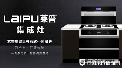 莱普厨房电器代言人