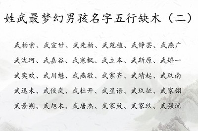 五行缺木的男孩名字大全