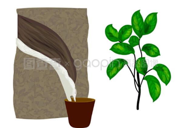 绿萝简笔画图片大全_绿萝简笔画图片大全素材_绿萝简笔画图片大全模板