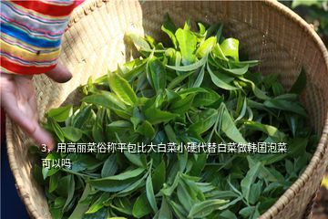 孕妇可以吃麻叶吗
