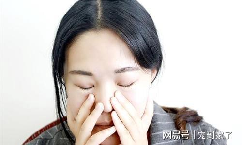 下眼睑发白是怎么回事