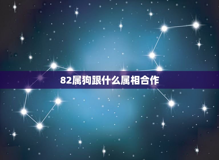 属羊和属牛的合财吗