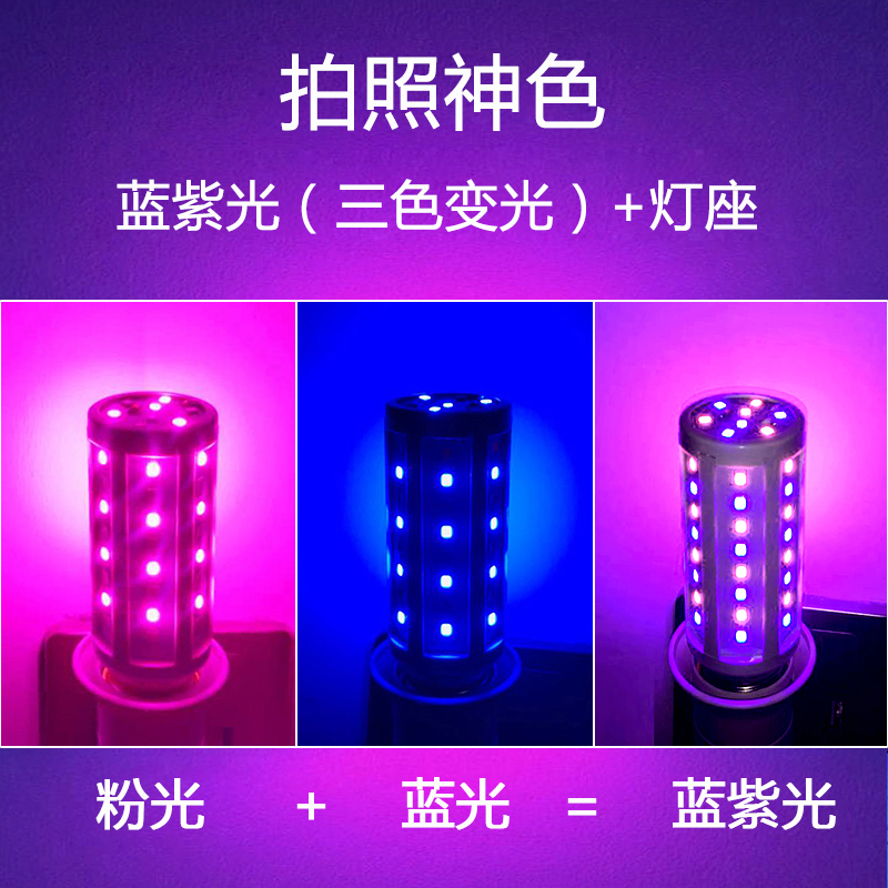 变光灯用什么灯泡好