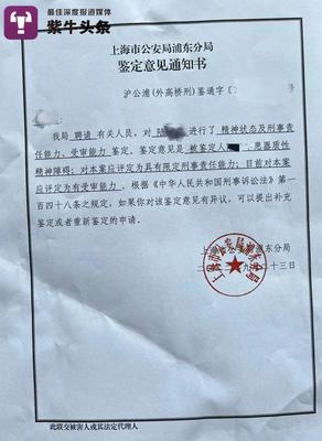 监护人的意见怎么写