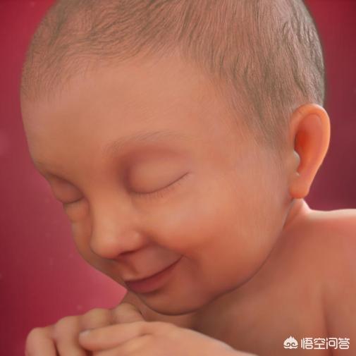 大多数胎儿多少周出生