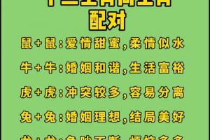 属相婚姻配对