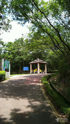 光明森林公园