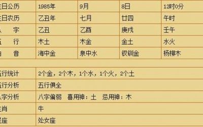 85年的五行属什么