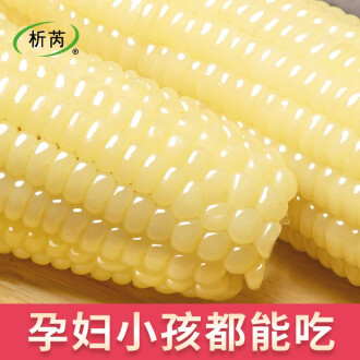 孕妇能吃糯玉米吗
