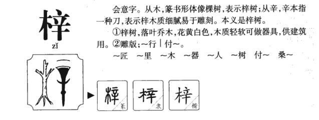 梓字五行属什么的