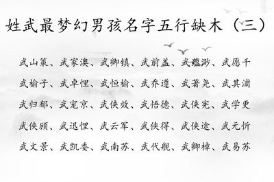 五行缺木的男孩名字大全
